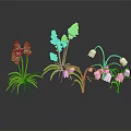 Vibrant Garden Plants with Blue White Pink Flowers and Green Leaves