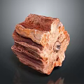 Fossilized Plant Specimen with Red Striped Texture and Central Circular Hole