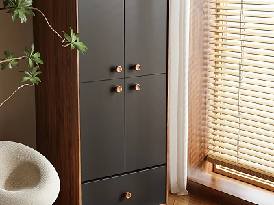 Modern Black Walnut Wardrobe Interior With Brass Knobs Drawers Near Window 3d model