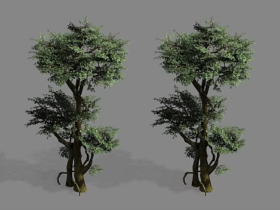 Two Arbor Trees With Thick Trunks And Lush Green Foliage In Gray Background 3d model