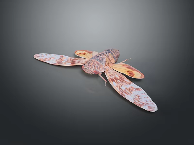 Detailed Cicada With Patterned Orange And White Wings On Dark Background 3d model
