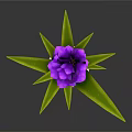 Purple Flower Plant With Green Leaves In Copper Pot On Dark Background