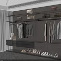 Stylish Hangers in Modern Walk in Closet with Hanging Clothes Shelves and Shoes