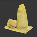 Fresh Whole Chinese Cabbage and Half Sliced Red Onion on White Paper Towel
