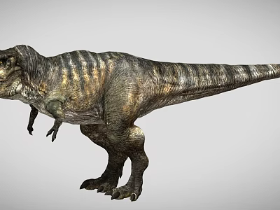 Realistic Tyrannosaurus Rex Dinosaur 3D Model With Detailed Skin Texture 3d model