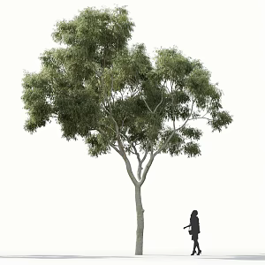 landscape tree 3d model