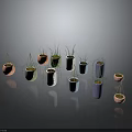 Colorful Planters with Green Plants Hanging and Placed on Home Decor Surface