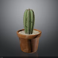 Green Ribbed Cactus With Spines In Orange Terracotta Pot With Soil