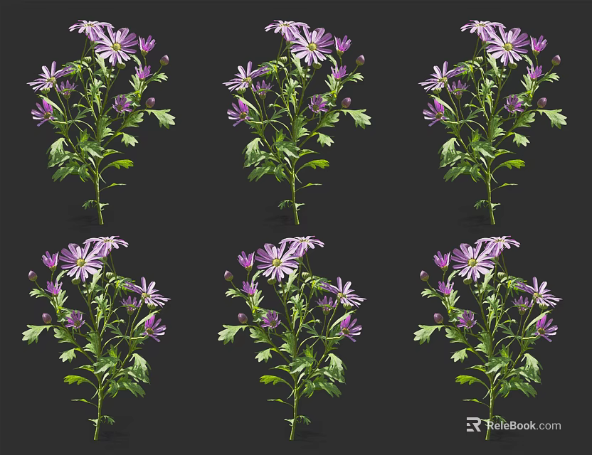 Six Bouquets of Purple and White Flowers with Green Leaves on Black Background 3d model 