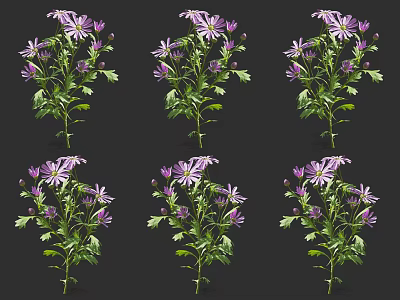 Six Bouquets of Purple and White Flowers with Green Leaves on Black Background 3d model