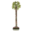 Modern Palm Tree Landscape Tree 3d model