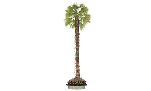 Modern Palm Tree Landscape Tree 3d model