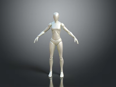 Silver Human Figure Standing On Dark Background With 3D Rendering 3d model