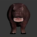 Realistic Hippo Standing With Open Mouth And Brown Skin On Dark Background