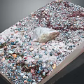 Natural Beach Scene With Scattered Colorful Pebbles White Sand And Seashell