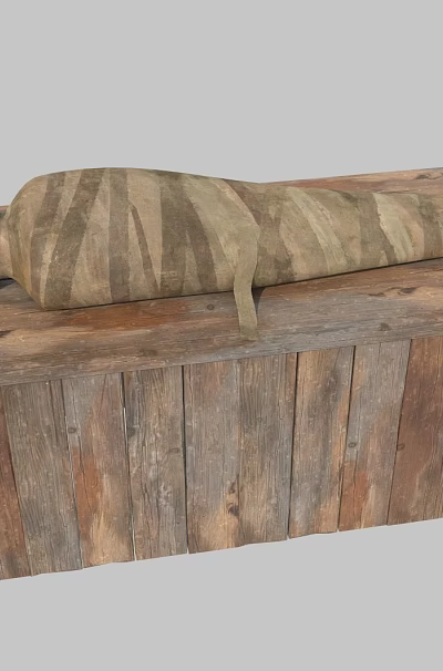 Game Movie Character Ancient Mummy Lying On Wooden Box Structure 3d model