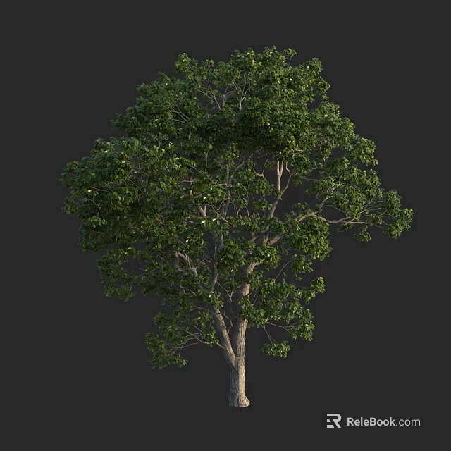 Lush Arbor With Green Foliage And Brown Wooden Trunk On Dark Background 3d model 