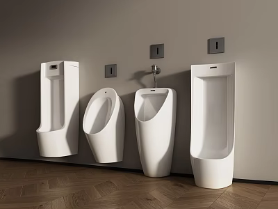 White Urinals With Various Designs Mounted On Gray Wall And Wooden Floor 3d model