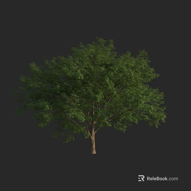 Lush Green Arbor with Dense Foliage and Brown Trunk on Dark Background 3d model 