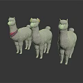 Three White Alpacas Standing With One Wearing Red Scarf On White Background