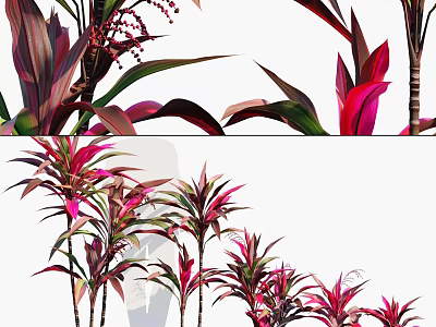 Ornamental Trees with Red and Green Leaves Clustered Trunks for Landscape Decoration 3d model
