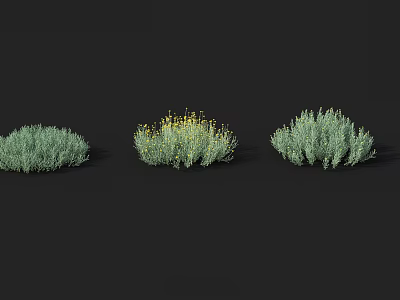 Three Varied Green Bushes with Middle Shrub Bearing Yellow Flowers 3d model
