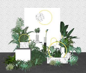 Modern beauty plants 3d model