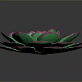 Vibrant Green Succulent Plant With Rosette Shaped Petals And Pink Edges