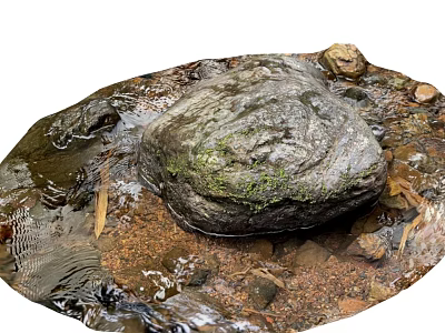 Large Mossy Stone and Wood Logs in Stream Water with Small Stones and Fallen Leaves 3d model