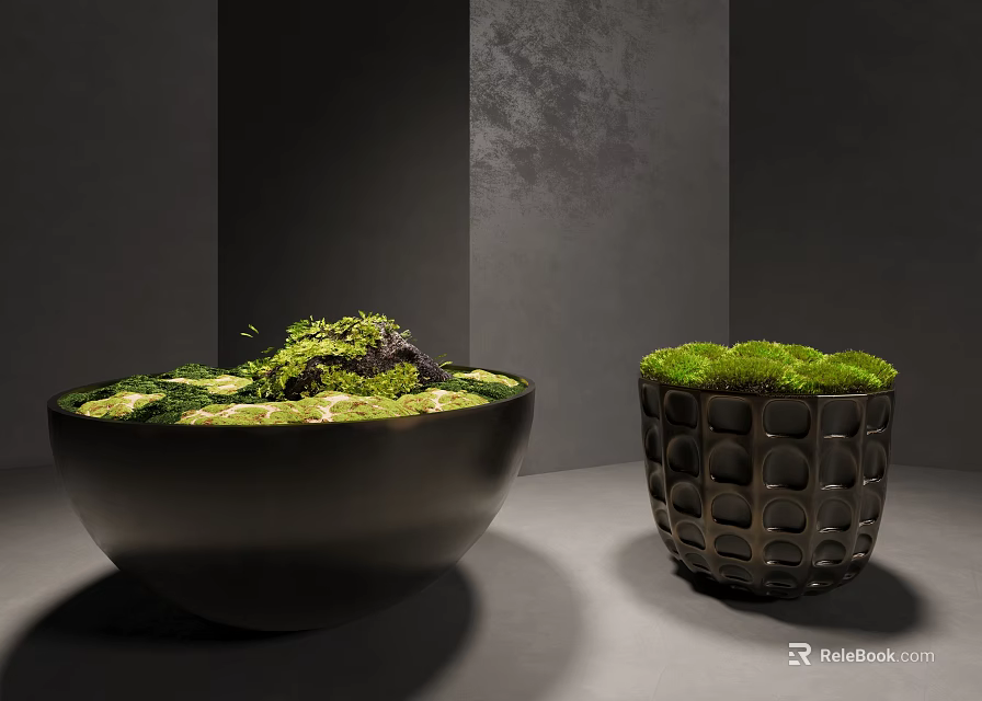 Lush Green Moss Decorative Display In Ceramic Bowl And Textured Container 3d model 