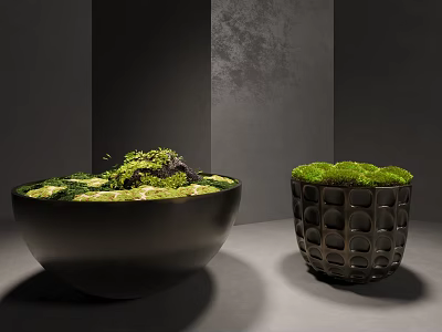 Lush Green Moss Decorative Display In Ceramic Bowl And Textured Container 3d model