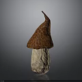 Fresh Edible Mushroom With Brown Textured Cap And Light Colored Stem