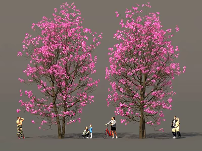 Fresh Picnic Food Under Pink Blossom Trees With People Enjoying Meal 3d model