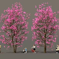 Fresh Picnic Food Under Pink Blossom Trees With People Enjoying Meal