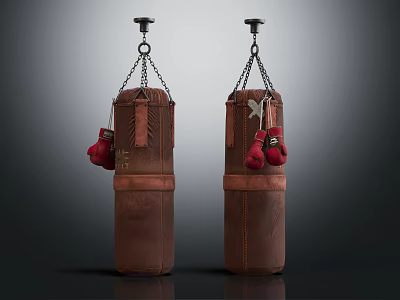 Two Brown Leather Boxing Punching Bags with Red Gloves Hanging as Sports Equipment 3d model