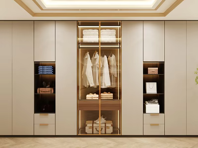 Modern Luxury Wardrobe Interior With Glass Door Gold Trim Hanging Clothes And Storage Drawers 3d model