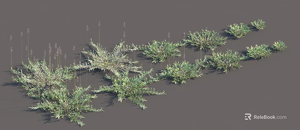 Different Types of Green Herb Plants With Various Leaf Shapes Arranged On Grey Background 3d model 