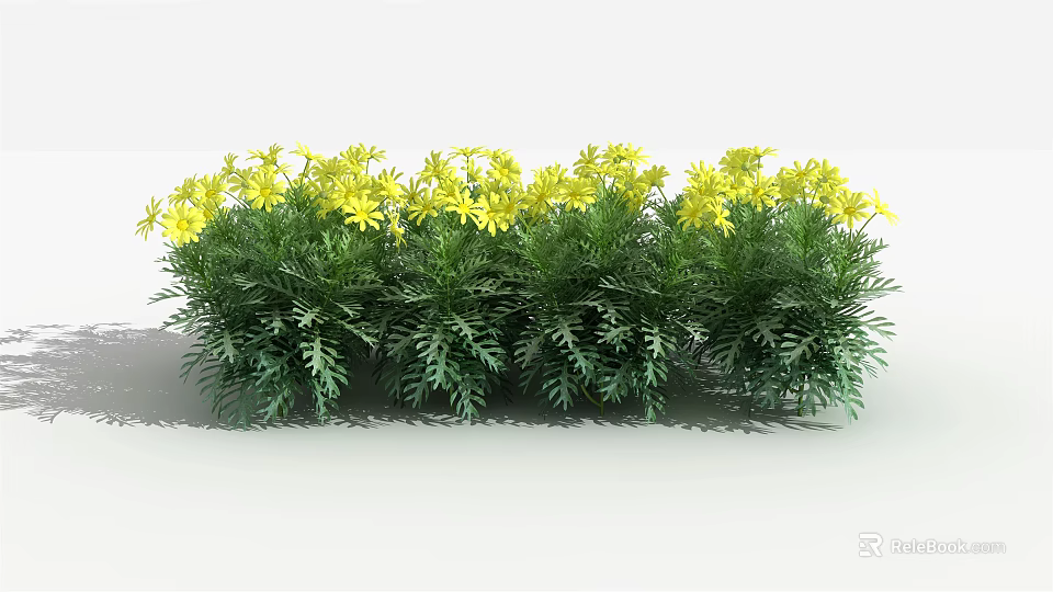 Vibrant Green Shrubs With Bright Yellow Flowers For Garden Landscaping 3d model 
