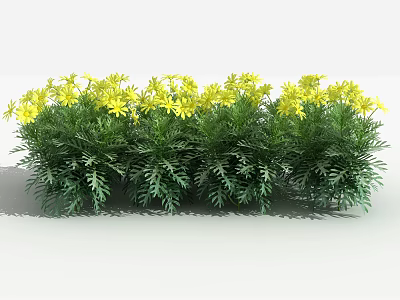 Vibrant Green Shrubs With Bright Yellow Flowers For Garden Landscaping 3d model