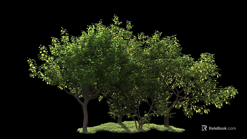 Lush Green Trees With Dense Foliage And Strong Trunks On Grass 3d model