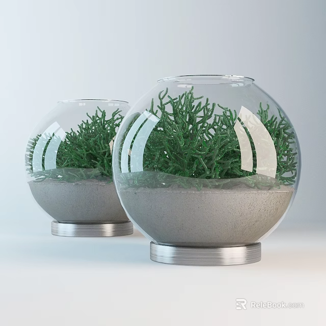 Decorative Ornament Set with Transparent Glass Spheres Green Plants Sand and Silver Bases 3d model 