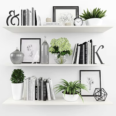 Books And Magazines On White Shelves With Green Plants Picture Frames And Decorative Items 3d model
