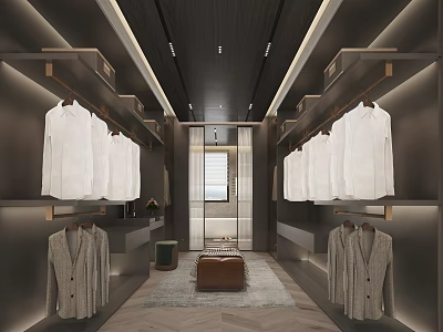 Modern Walk in Closet Interior Design With White Shirts Gray Coats Shelves And Stool Rug 3d model