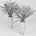 Indoor Decorative Potted Plants with Large Green Leaves in White Ink Design Pots