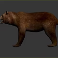 Realistic Brown Bear Standing With Open Mouth And Detailed Fur Texture
