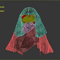 Geometric Pattern Cloak With Illuminated Mask And Angular Design Elements