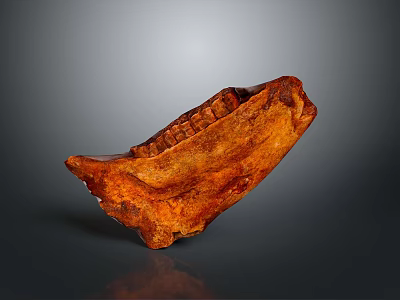 Brown Animal Bone Structure With Textured Surface And Hair Follicle Traces 3d model