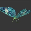 Stunning Blue And White Patterned Butterfly With Vibrant Detailed Wings 3d model