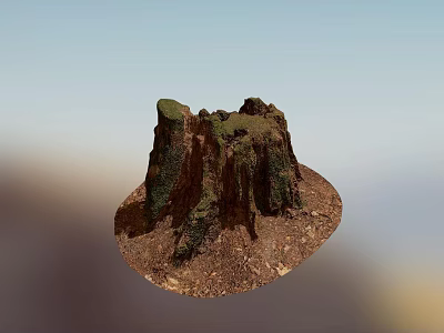 Natural Stone And Wood Stump Structure With Mossy Surface And Earthy Texture 3d model
