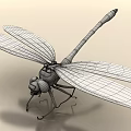 modern dragonfly 3d model